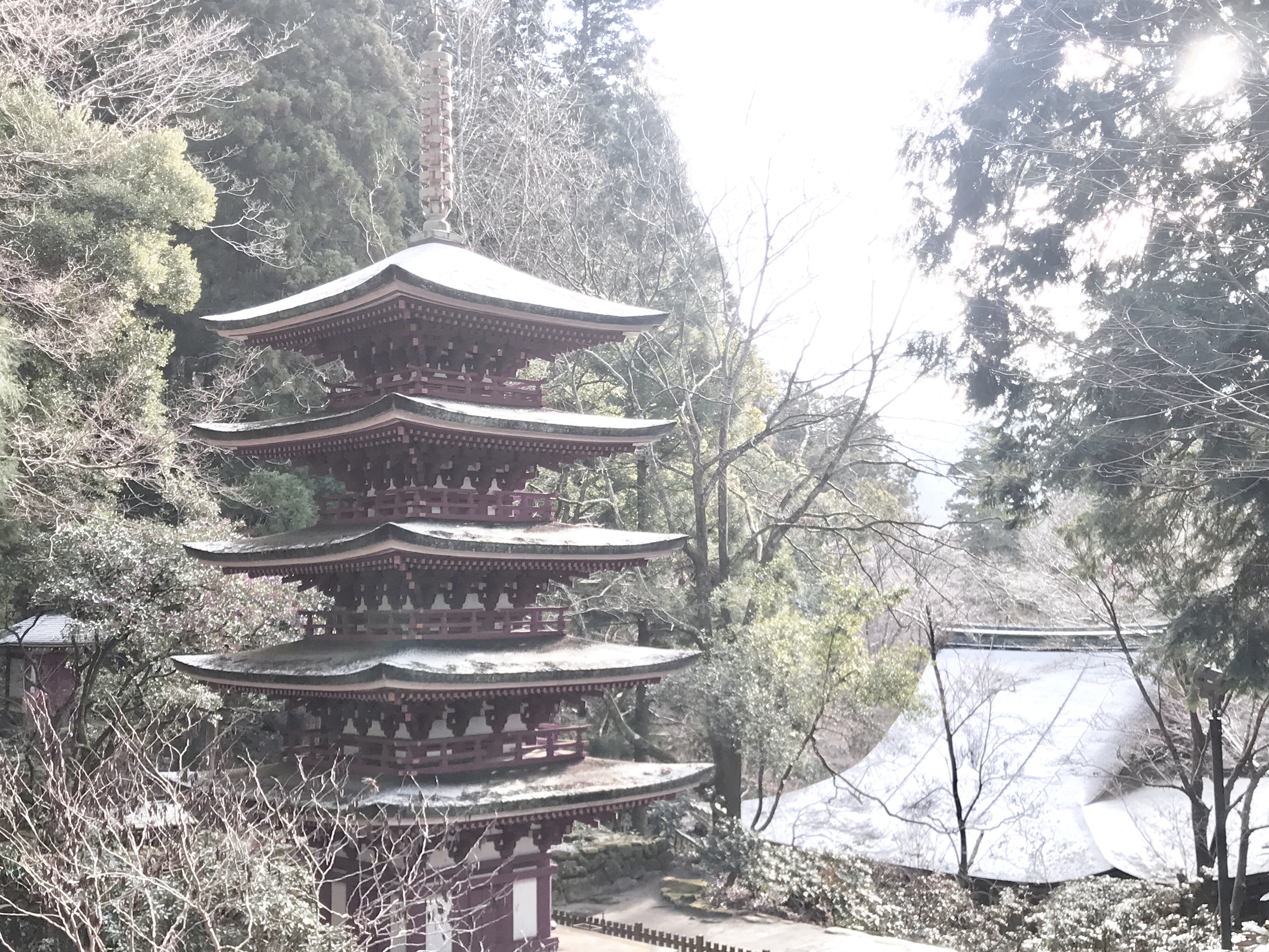 室生寺 - 奈良寺社ガイド