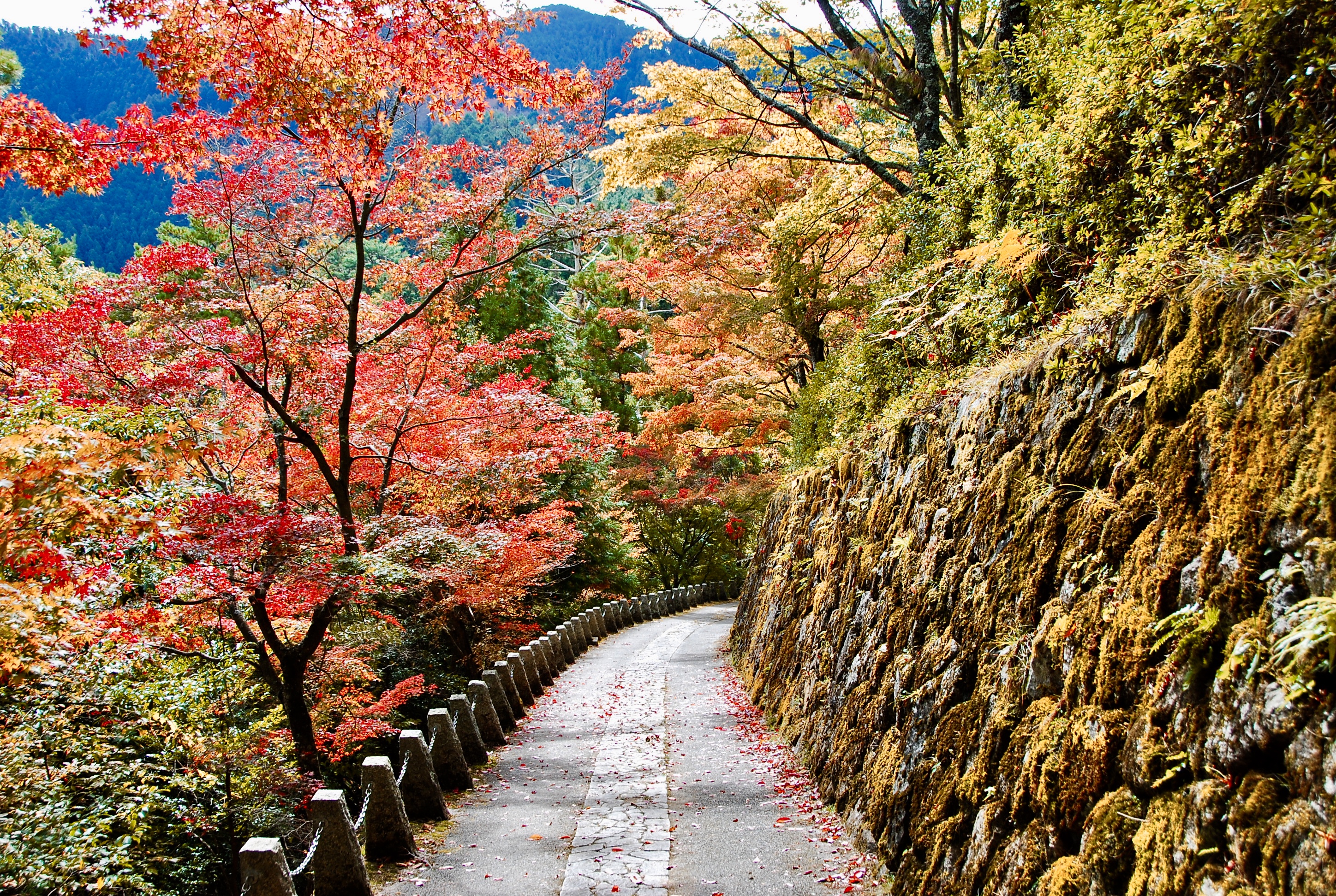 高城山展望台 奈良寺社ガイド